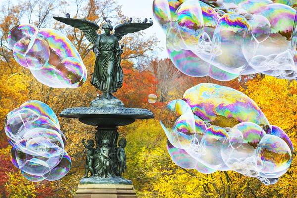 Photograph Mitchell Funk Bubbles In Central Park on One Eyeland